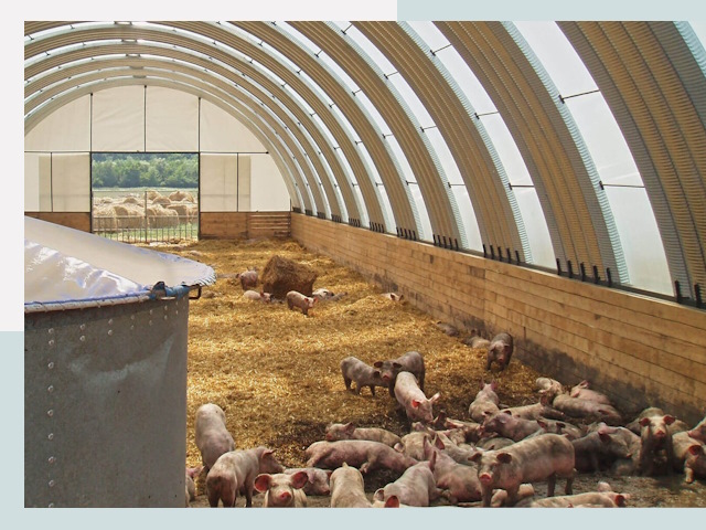 Строительство свинарников в Златоусте